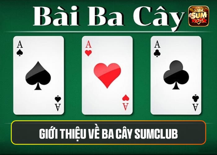 Giới thiệu về Ba Cây Sumclub